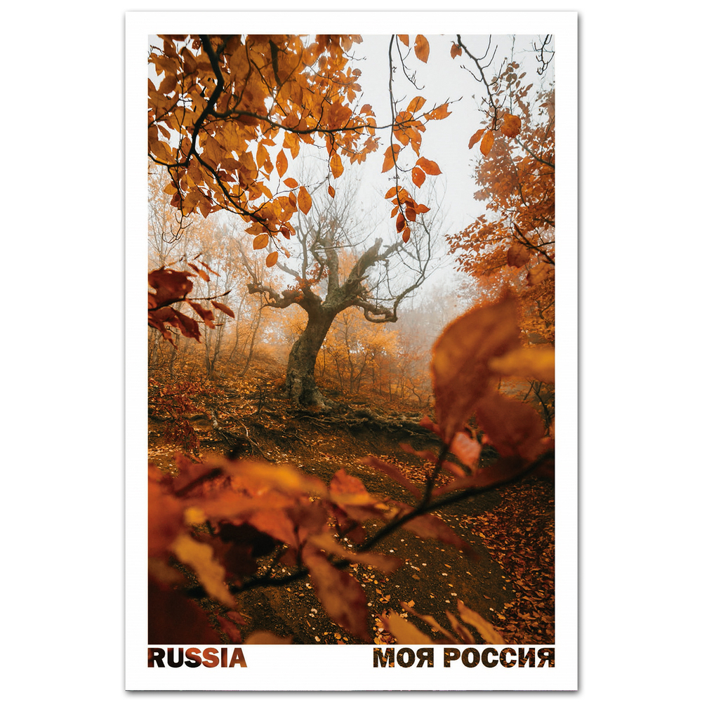 Долина Привидений. Демерджи, Крым