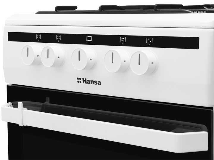 Газовая плита Hansa FCGW51001