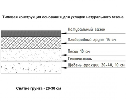 Натуральный рулонный газон Стандартный