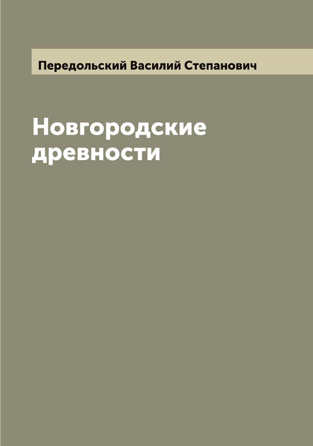 Новгородские древности | Передольский Василий Степанович