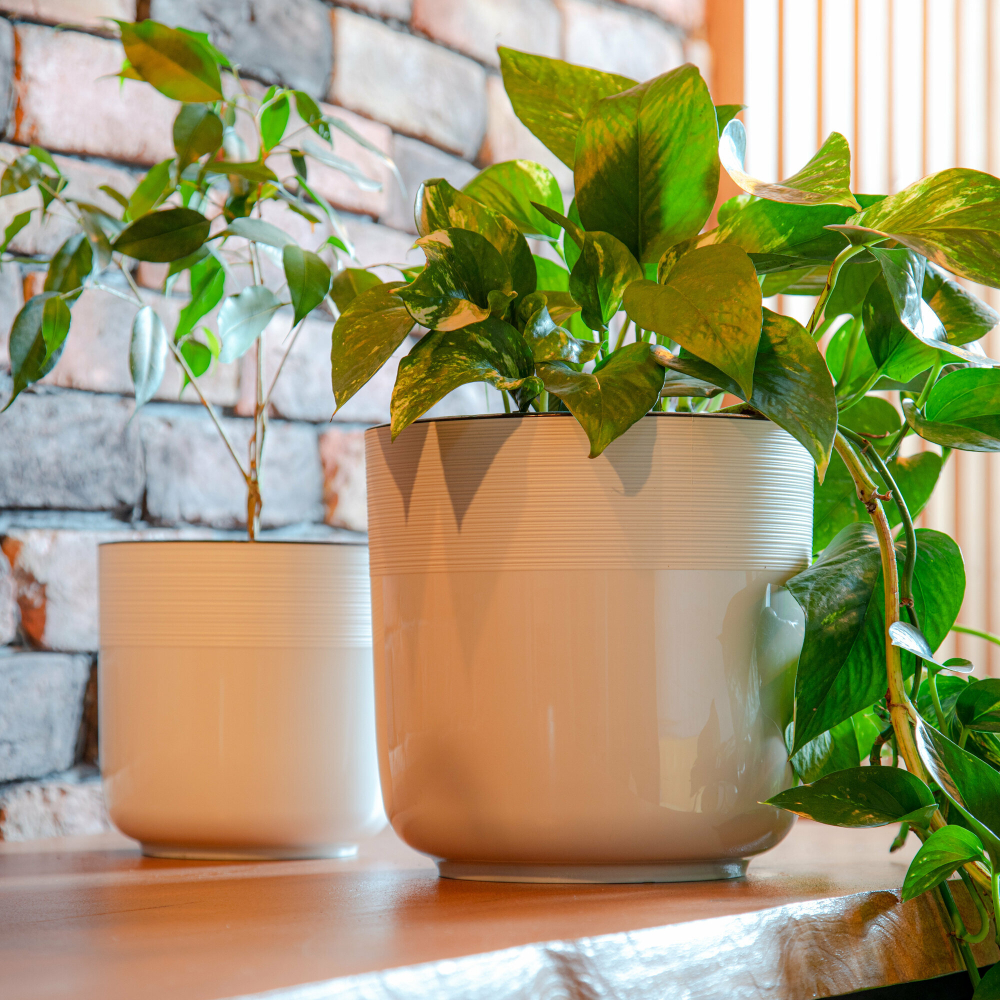 Горшок для цветов пластмассовый "Линель" 4,5л, д19см, h19см, со вставкой, белый