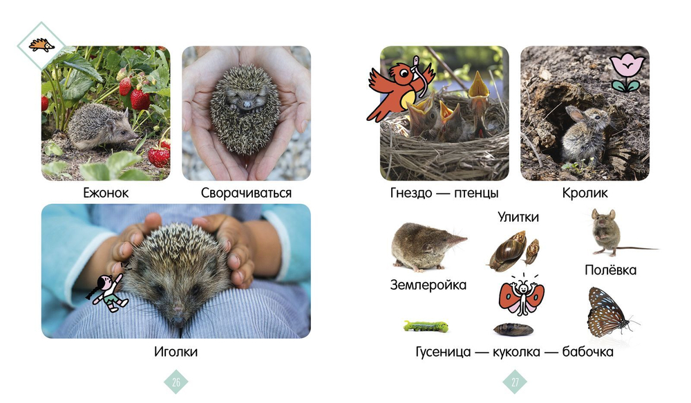 Главная книга малыша. Зверята. Фотокнига