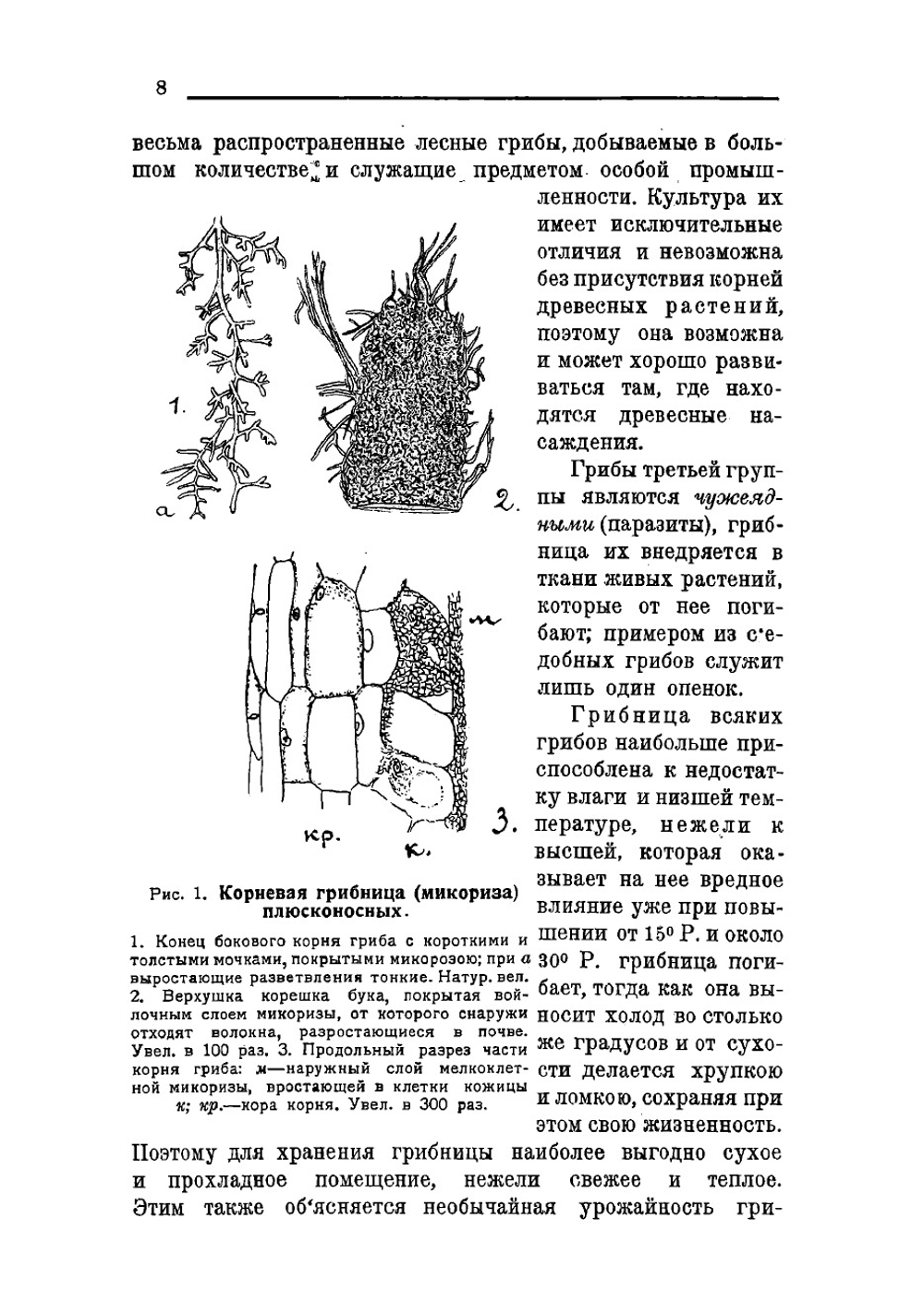 С'едобные грибы: Описание луговых и лесных съедобных грибов по их отличительным признакам с указанием их вариаций, употребления и культуры Для Сельское-хозяйство учебного заведений, кооперативов и сборщиков грибов | Рытов Михаил Васильевич