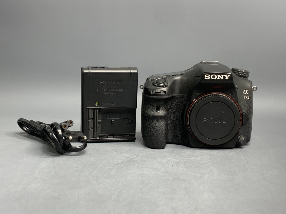 Sony A77 II 31.227 Кадров