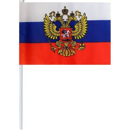 Флаг России (с гербом) 20*30 см.