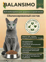 Сухой корм для стерилизованных кошек и кастрированных котов холистик Balansimo Holistic Sterilized Adult Cat индейка с ягодами 2кг