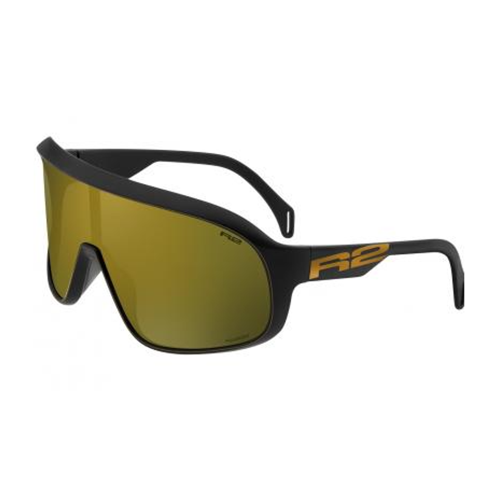 Очки R2 FALCON AT105D черн. поляриз. кат. 3