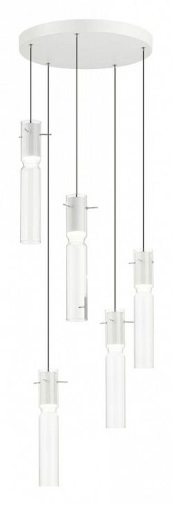 Подвесная люстра Odeon Light Scrow 5058/25LB