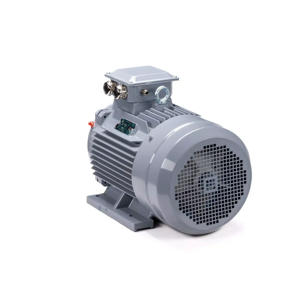Электродвигатель ESQ PR 132 M4 GST-Б1-S12-IE2 11/1500 IM1081