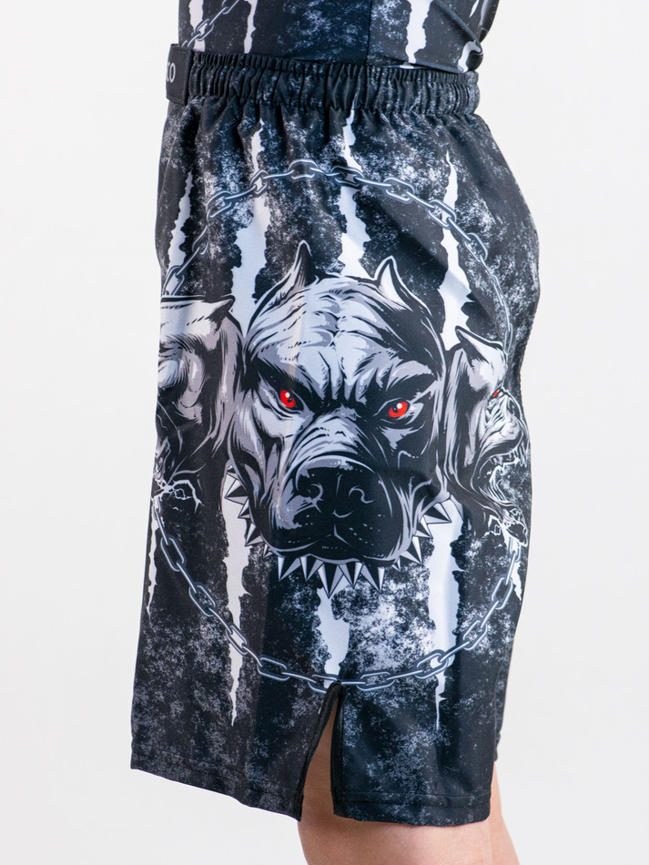 Шорты для MMA Rusco Sport CERBERUS, детские