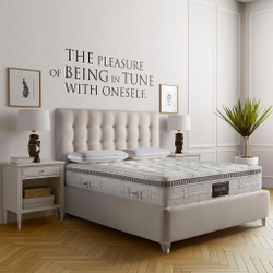 Матрас ортопедический 160x200x30 Magniflex Audaсe Armonia Memoform Dual 12