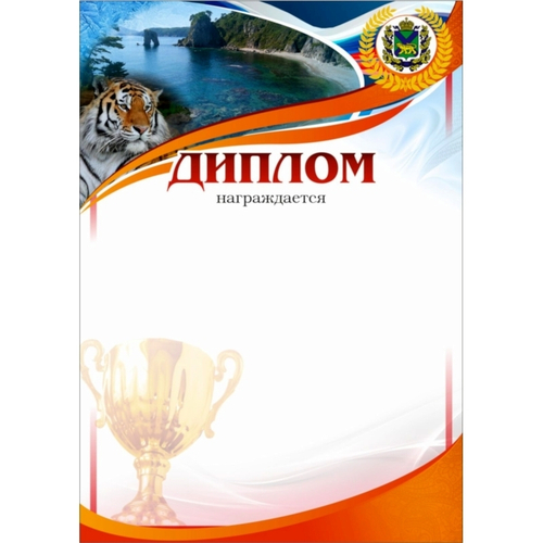 Диплом PNDiploma-504