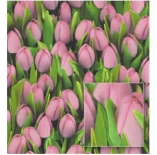 Обои 416723W Decoration виниловые на бум основе 0,53х10м