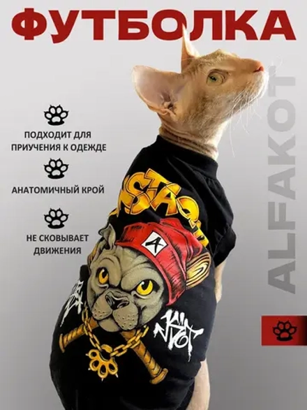 Одежда для кошек сфинкс