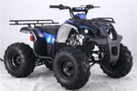 Квадроцикл TAO MOTOR Bull 125