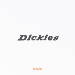 Футболка мужская Dickies Enterprise