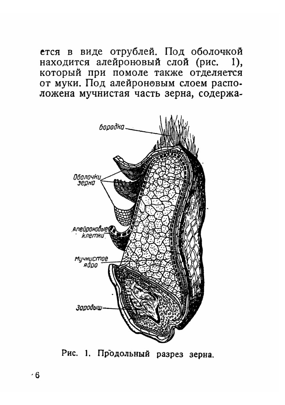 Техническое руководство для рабочих булочно-берлинского производства | Шейнкман Г. В
