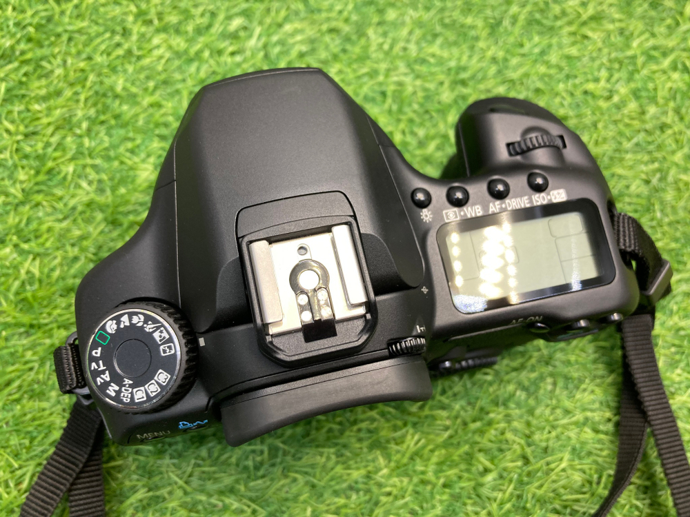 Canon 40D 150 кадров