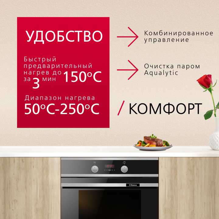 Духовой шкаф Hansa BakingPro BOEI694003