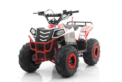 Квадроцикл MOTAX Grizlik A110