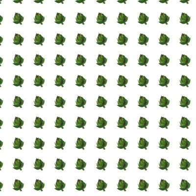 Артишок (часто)