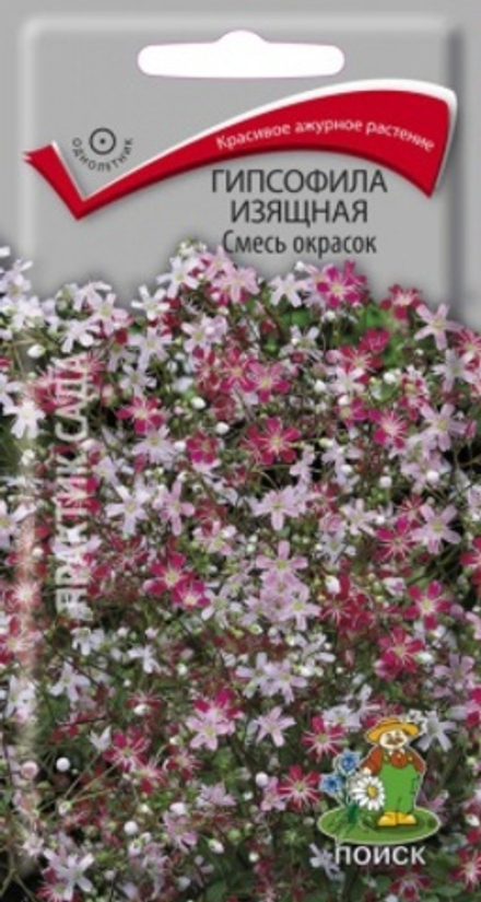 Гипсофила Смесь окрасок 0,2г Ц Поиск
