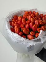Букет из 51 оранжевого тюльпана