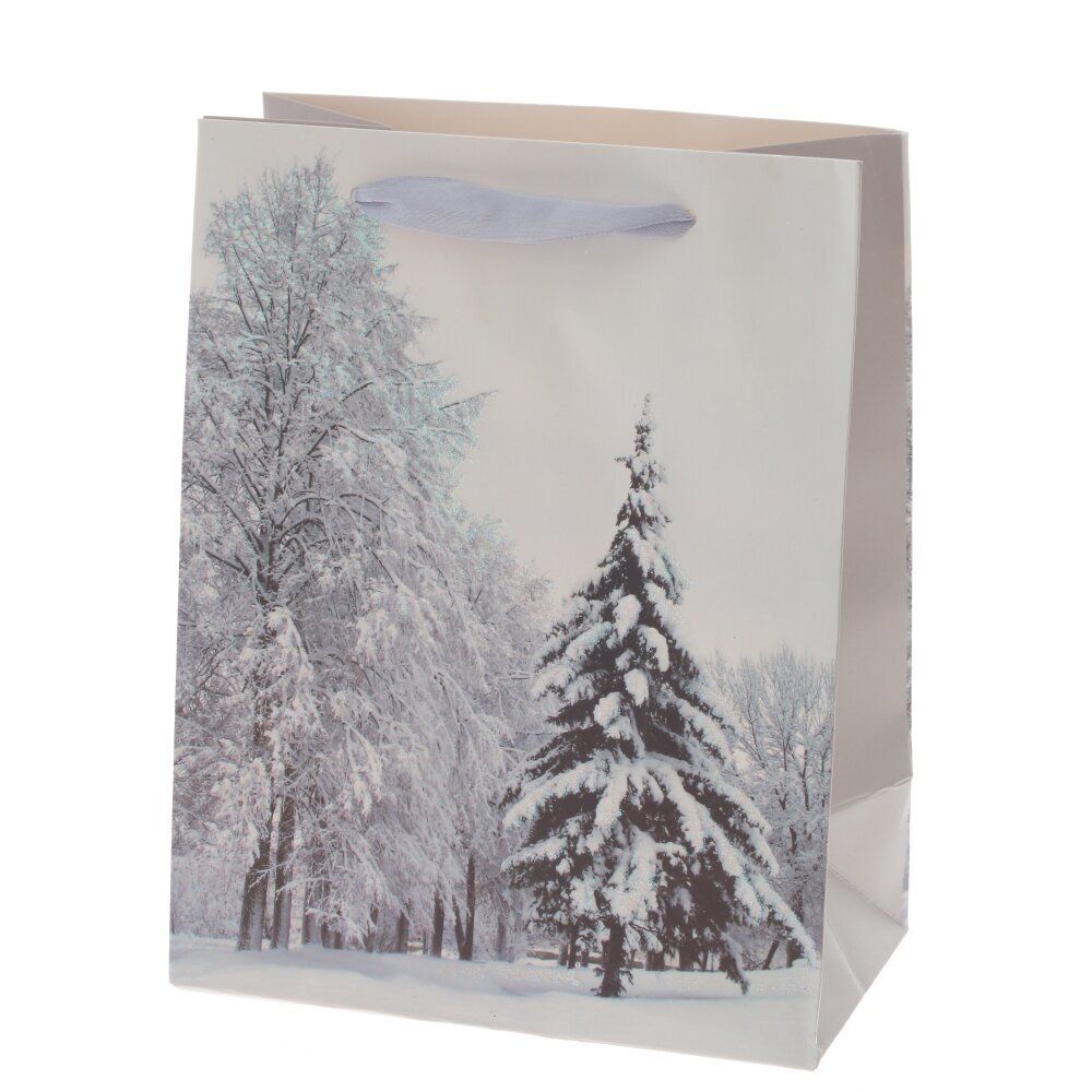 GAEM Пакет подарочный (бумага, плотность 210г/м2, блок микс 12шт), L18 W10 H23 см, 4в.