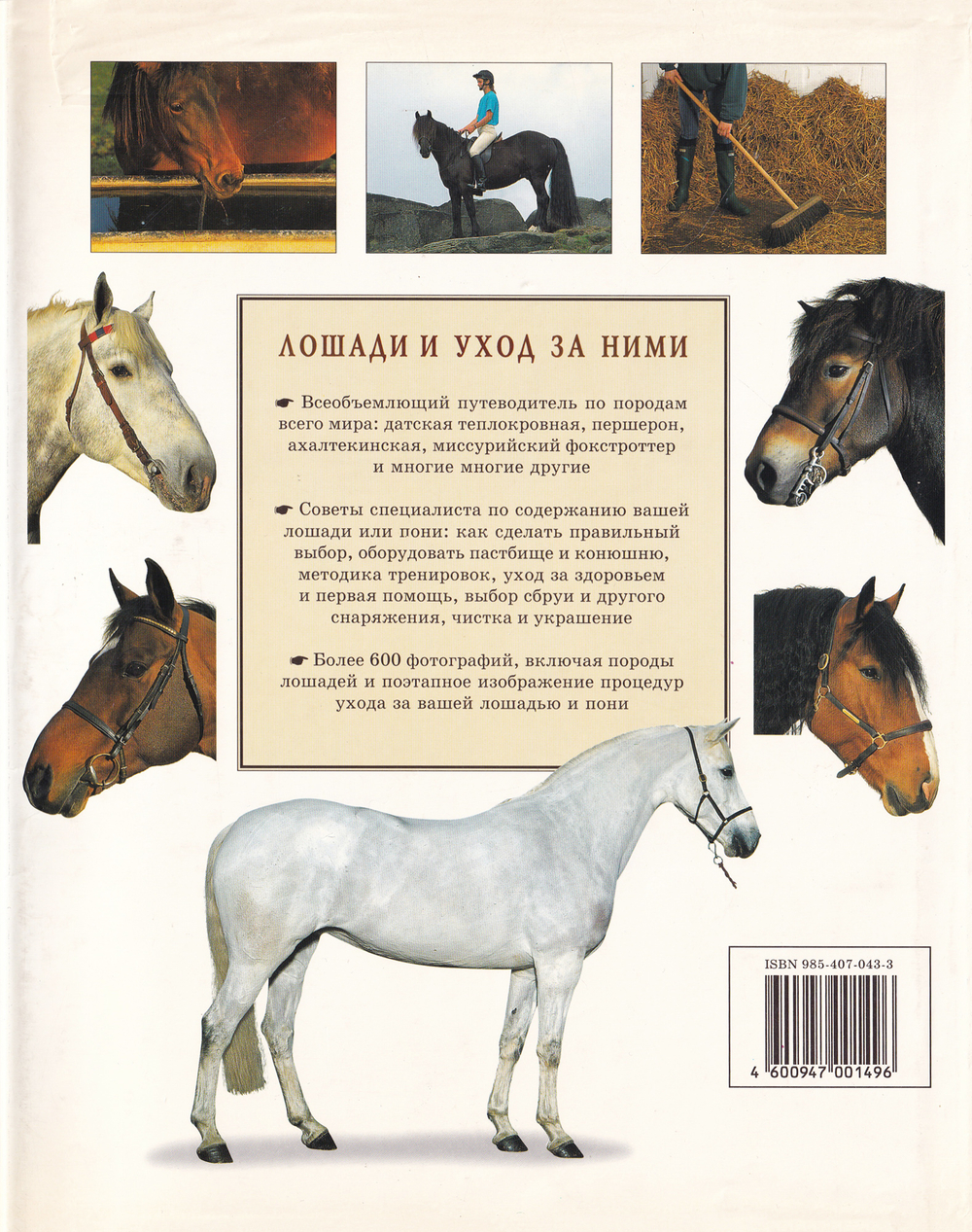 Лошади и уход за ними. Энциклопедическое издание о лошадях и пони с кратким руководством по их содержанию