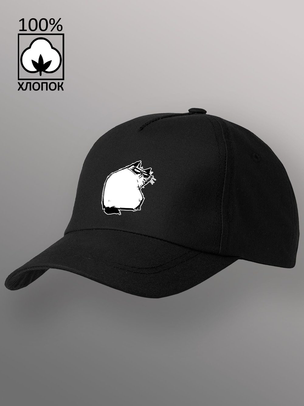 Бейсболка Недовольный котик