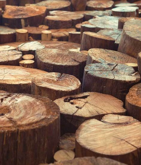 Ароматический воск Тиковое дерево Mahogany Teak, Candle Warmers