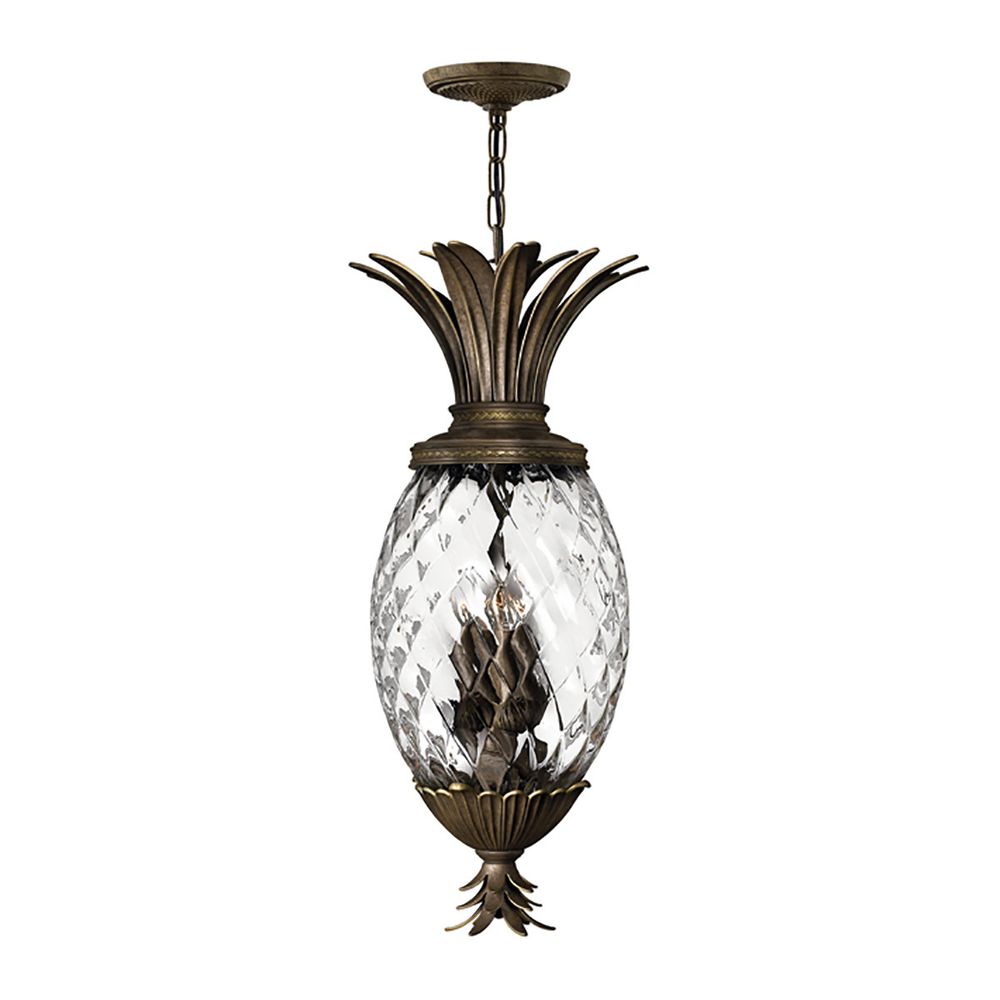 Подвесной светильник Hinkely Lighting, Арт. HK-PLANT4-P-PZ