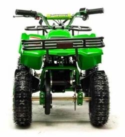 Электроквадроцикл Motoland ATV E009 1000W