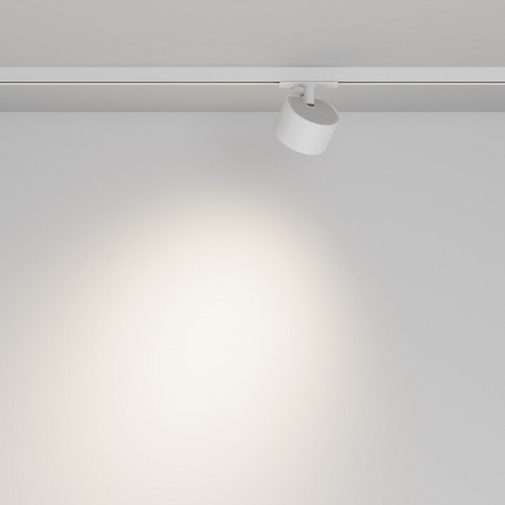 Светильник на штанге Maytoni  TR225-1-GX53-W