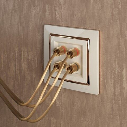 Акустическая розетка (слоновая кость)