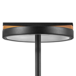 Настольная светодиодная лампа Lightstar Lodi 723927