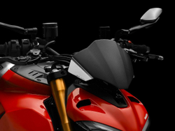 RIZOMA ZDM149AK CARBON/ALUMINIUM SILVER FLYSCREEN (SF V4)