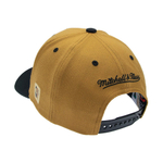 Баскетбольная кепка Mitchell&Ness Vancouver Grizzlies Team Arch -