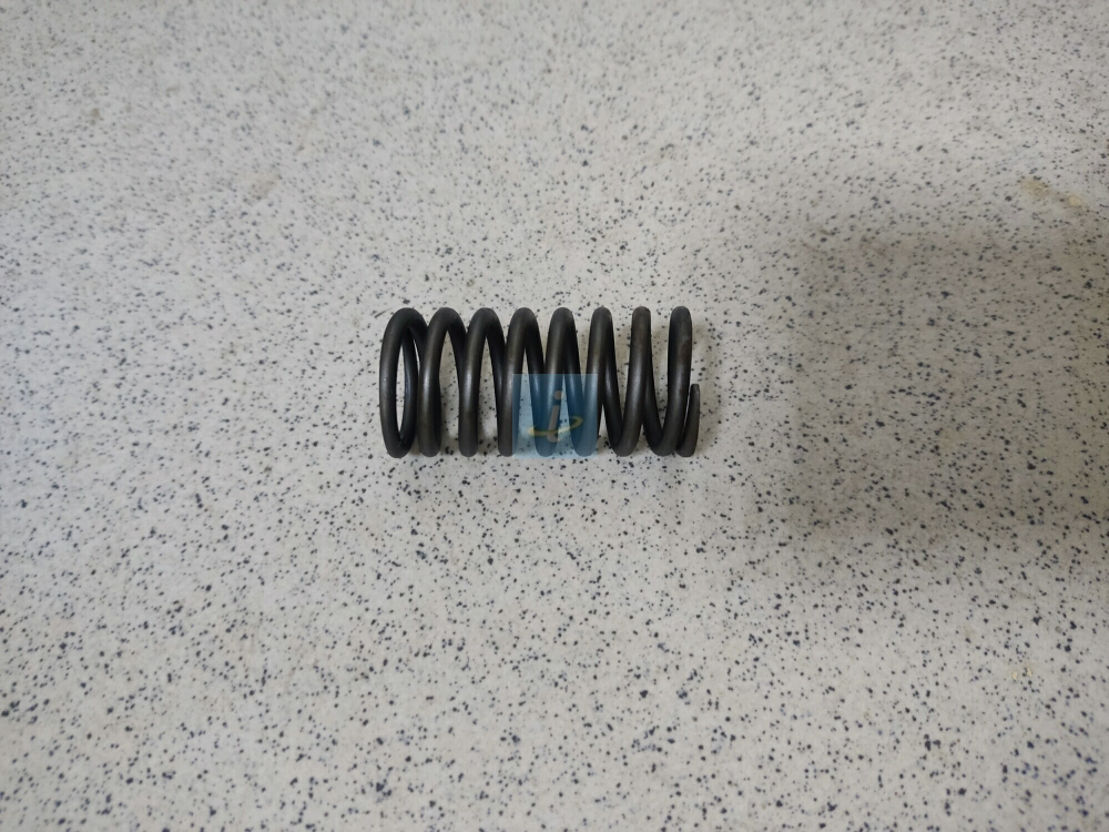Пружина клапана внутренняя 840.1007021
