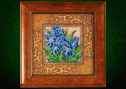 Озорные ирисы