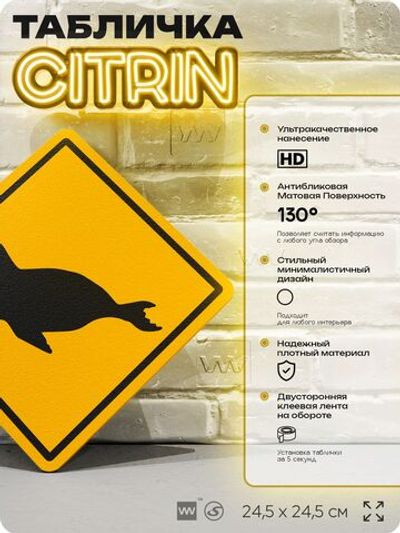 Табличка прикольная "Осторожно, тюлени" на дверь и стену, информационная и предупреждающая, декоративный знак, 24,5х24,5 см, пластиковая, Айдентика Технолоджи