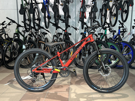 Велосипед TIMETRY TT228
