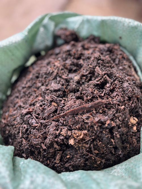 Перегной - конский навоз + опилки+ земля ( компостировался более 3 лет  )