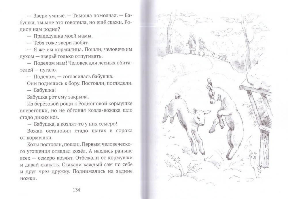 Тимошины чудеса. Зима! Владислав Бахревский