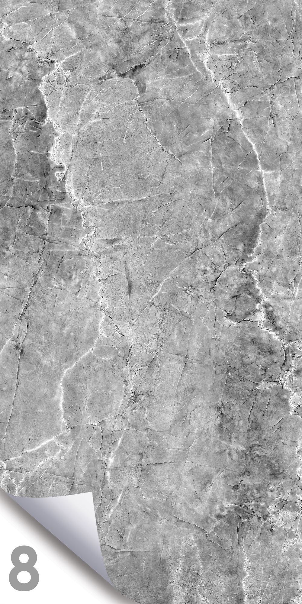 Шерл Сильвер