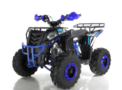 Квадроцикл WELS Thunder EVO