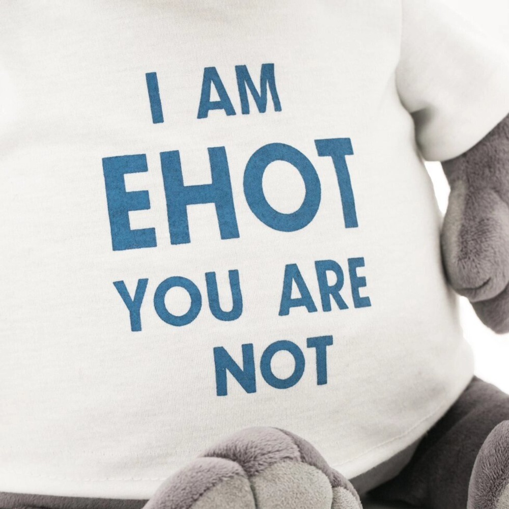 Мягкая игрушка «Енотик Дэнни: I am Енот», 20 см