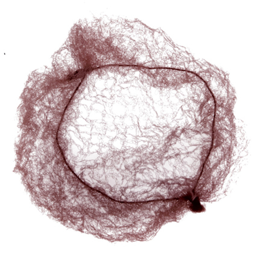 Сеточка-паутинка больш т-корич (2шт)