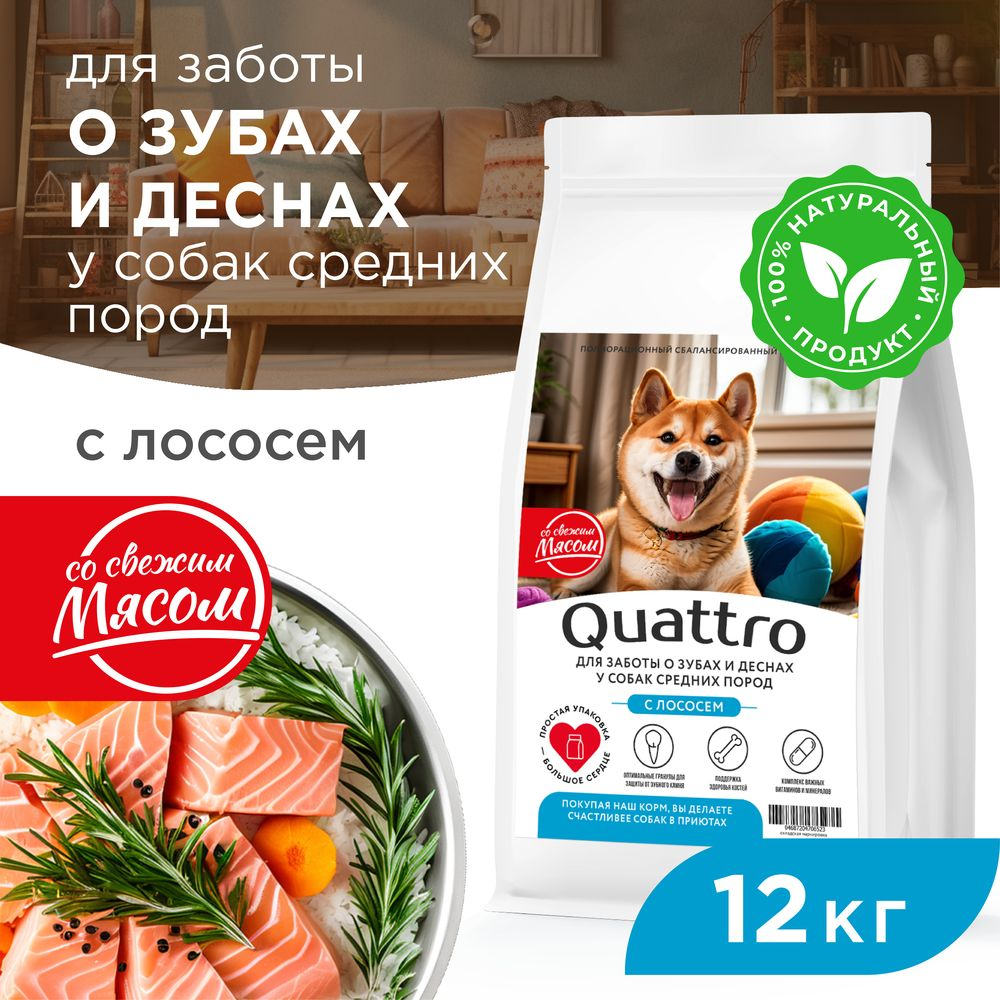 Корм сухой для взрослых собак средних пород, премиум полнорационный комплекс, забота о зубах и деснах, с лососем, 12 кг, QUATTRO
