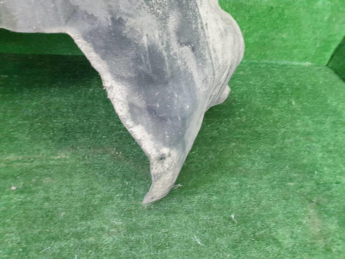 Подкрылок задний левый Mercedes EQS V297 (2021-н.в.)